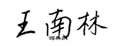 王正良王南林行书个性签名怎么写
