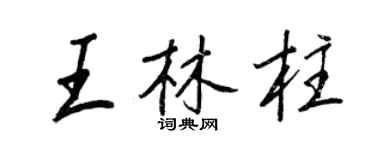 王正良王林柱行书个性签名怎么写