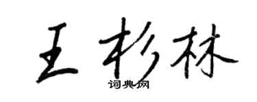 王正良王杉林行书个性签名怎么写