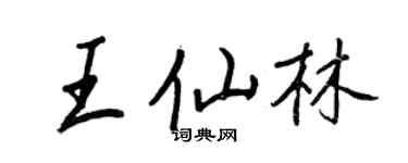 王正良王仙林行书个性签名怎么写