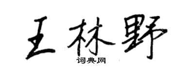 王正良王林野行书个性签名怎么写