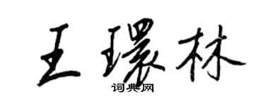 王正良王环林行书个性签名怎么写