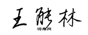 王正良王能林行书个性签名怎么写