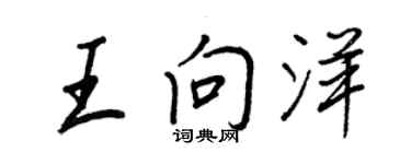 王正良王向洋行书个性签名怎么写