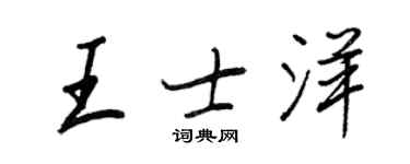 王正良王士洋行书个性签名怎么写
