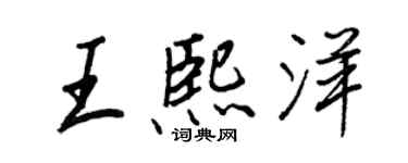 王正良王熙洋行书个性签名怎么写