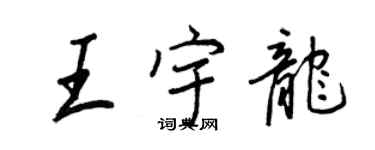王正良王宇龙行书个性签名怎么写
