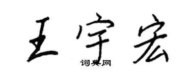 王正良王宇宏行书个性签名怎么写