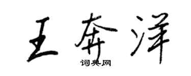 王正良王奔洋行书个性签名怎么写