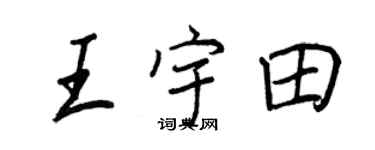 王正良王宇田行书个性签名怎么写