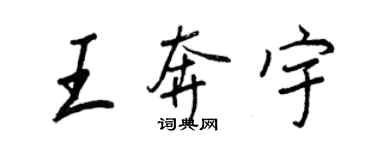 王正良王奔宇行书个性签名怎么写