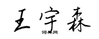 王正良王宇森行书个性签名怎么写