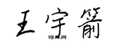 王正良王宇箭行书个性签名怎么写