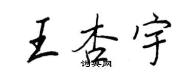 王正良王杏宇行书个性签名怎么写