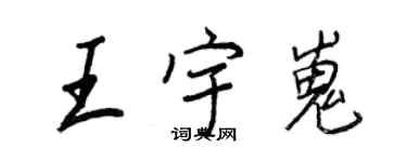 王正良王宇嵬行书个性签名怎么写