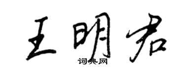 王正良王明君行书个性签名怎么写