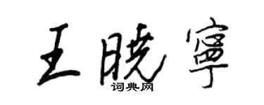 王正良王晓宁行书个性签名怎么写