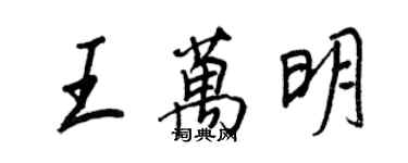 王正良王万明行书个性签名怎么写