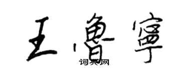 王正良王鲁宁行书个性签名怎么写