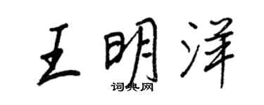 王正良王明洋行书个性签名怎么写