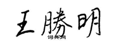 王正良王胜明行书个性签名怎么写