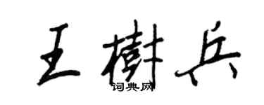 王正良王树兵行书个性签名怎么写