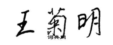 王正良王菊明行书个性签名怎么写