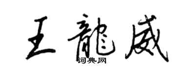 王正良王龙威行书个性签名怎么写