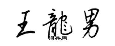 王正良王龙男行书个性签名怎么写