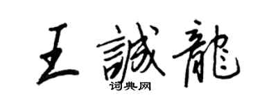 王正良王诚龙行书个性签名怎么写