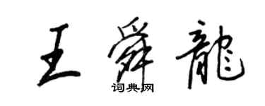 王正良王舜龙行书个性签名怎么写