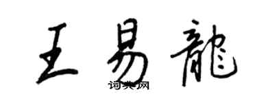 王正良王易龙行书个性签名怎么写