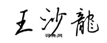 王正良王沙龙行书个性签名怎么写