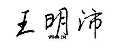 王正良王明沛行书个性签名怎么写