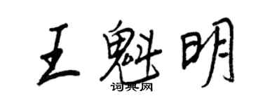 王正良王魁明行书个性签名怎么写