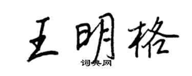 王正良王明格行书个性签名怎么写