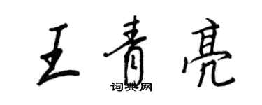 王正良王青亮行书个性签名怎么写