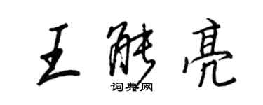 王正良王能亮行书个性签名怎么写