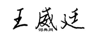 王正良王威廷行书个性签名怎么写