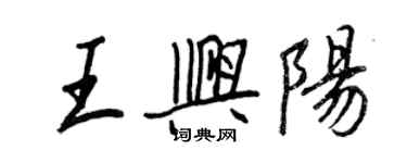 王正良王兴阳行书个性签名怎么写