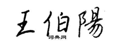 王正良王伯阳行书个性签名怎么写