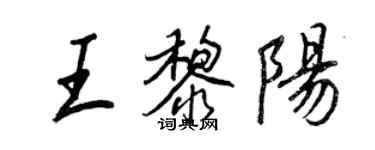 王正良王黎阳行书个性签名怎么写