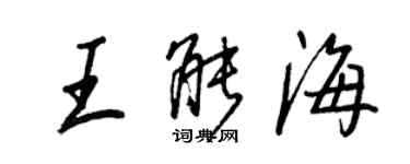 王正良王能海行书个性签名怎么写