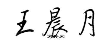 王正良王晨月行书个性签名怎么写
