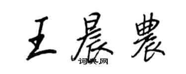 王正良王晨农行书个性签名怎么写