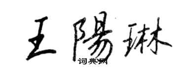 王正良王阳琳行书个性签名怎么写