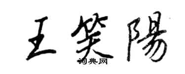 王正良王笑阳行书个性签名怎么写