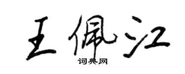 王正良王佩江行书个性签名怎么写