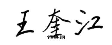 王正良王奎江行书个性签名怎么写
