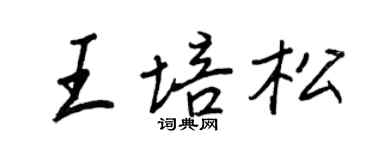 王正良王培松行书个性签名怎么写